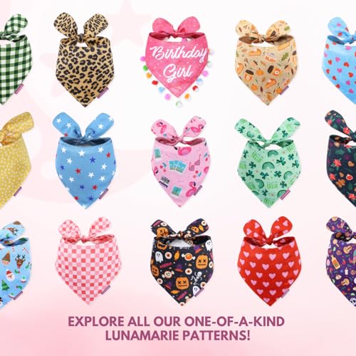 Luxury Pet Birthday Bandanas (Ember / Medium)