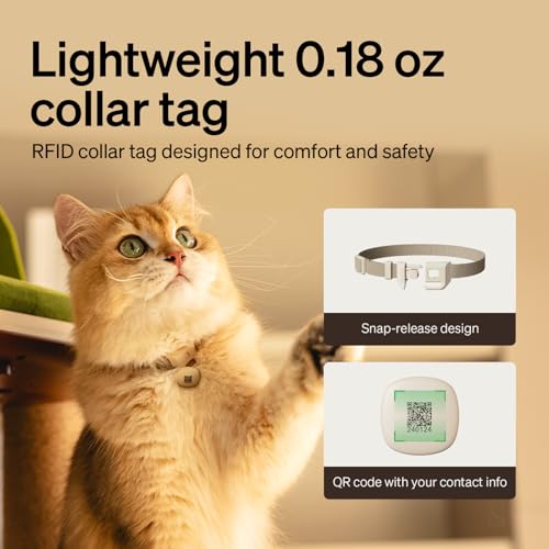 RFID Automatic Cat Feeders for 3 Cats (Black / 3L*3 Packs)