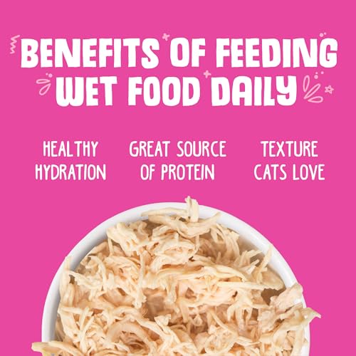 Classic Cat Food (3 Ounce (Pack of 4))