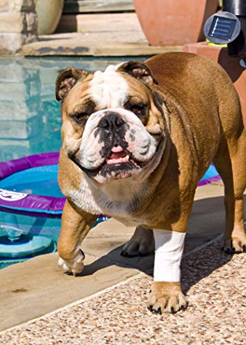 Protective Sleeve Tubular Cover (X-Small 18pk)