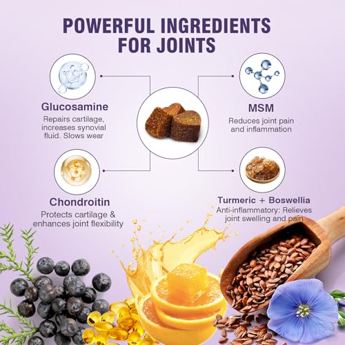 Joint Supplement for Dogs 200 ct (2 g/capsule 200pcs)