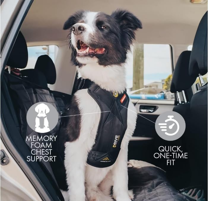 Drive Dog Car Harness (Black / Small)