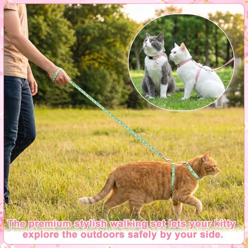 2 Pack Floral Cat Harness and Leash (Floral Pink Green)