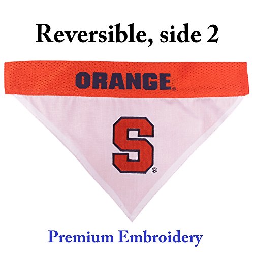 Collegiate Pet Accessories (Small/Medium / Syracuse Orange)