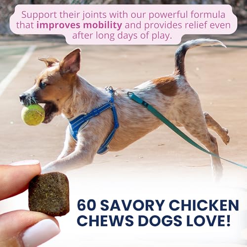 Pet Hip & Joint Chews for Dogs