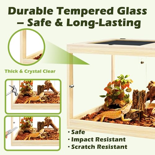 35 Gallon Bearded Dragon Tank (Oak / 35 Gallon (32x15.5x15.5 Inch))