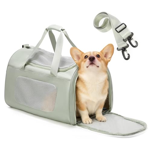 Extra Large Cat Carrying Case Pet Dog Carrier Soft (Mint Green)