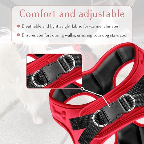 Comfort fit Step (S (Chest 14.5"-17") / Red)
