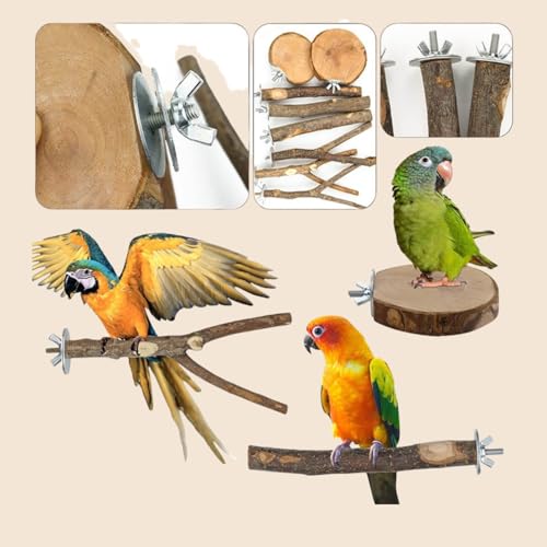 8 Piece Set Natural Wood Bird Perches