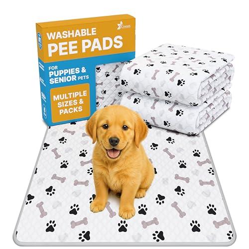 Washable Pee Pads for Dogs (White / 2 Pack - 41x41)