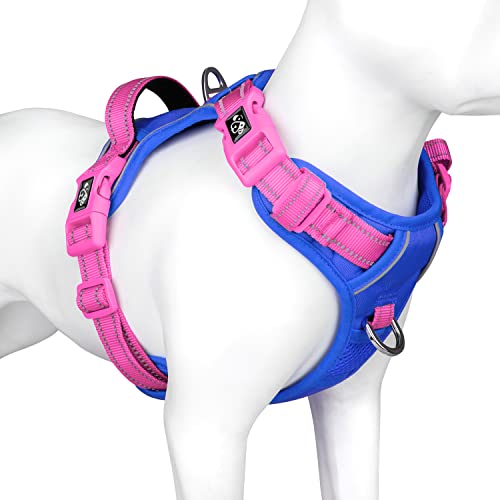 No Pull Dog Harness (Royal Blue Base & Pink Straps / Medium)