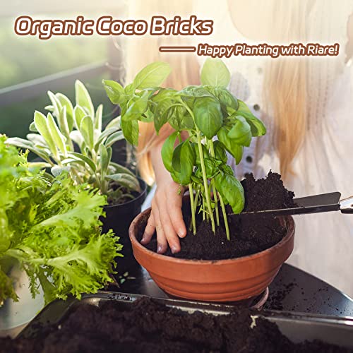10pcs Organic Coco Coir Bricks (10 Pack)