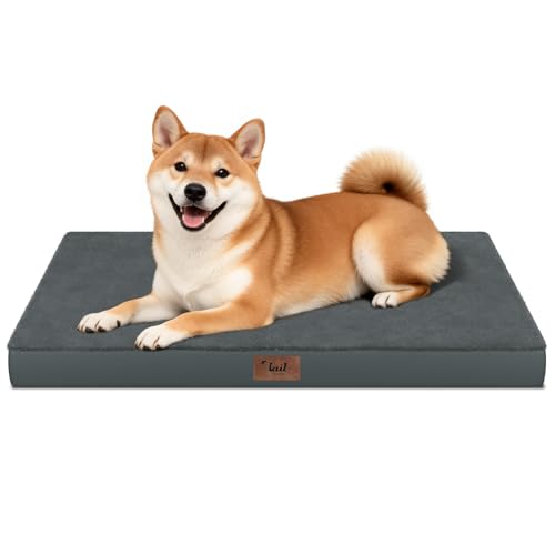 Outdoor Waterproof Orthopedic Dog Bed for Medium Size Dogs (Dark Gray / 35.0"L x 22.0"W x 3.0"Th)