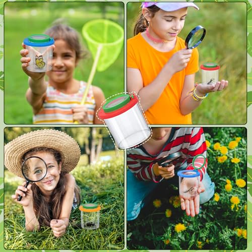 3 Pcs Insect Bug Viewer for Kids (3 Pack Set)