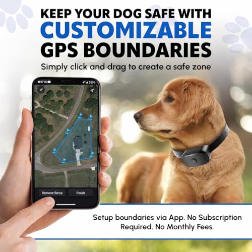GF03 H GPS Dog Fence
