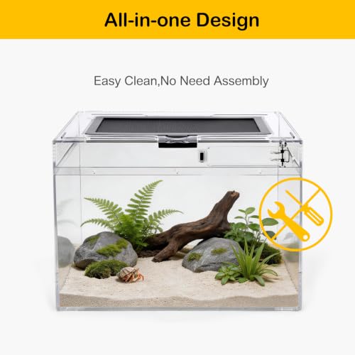 Reptile Tank 7 Piece Starter Kit with Escape Proof Locking Lid Small (Small(12x7x9IN))