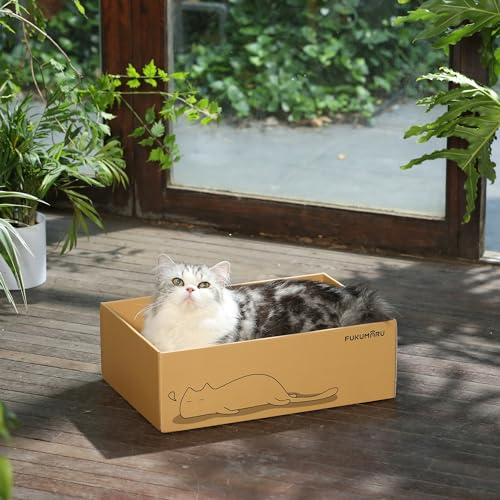 5 PCS Cat Scratching Boards
