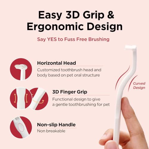 Dental Care Brush with Soft Bristles 1ea (Soft Bristles / 1 Count (Pack of 1))
