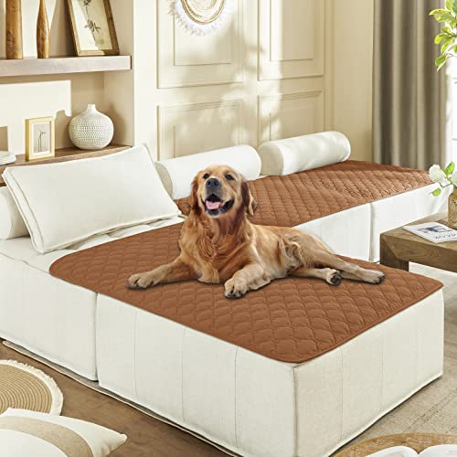 Waterproof Blanket for Dogs (40x50 Inch (Pack of 1) / Dark Pumpkin/Light Pumpkin)