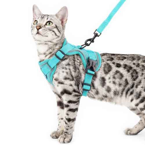 Cat Harness and Leash Set (Turquoise / XX-Large)