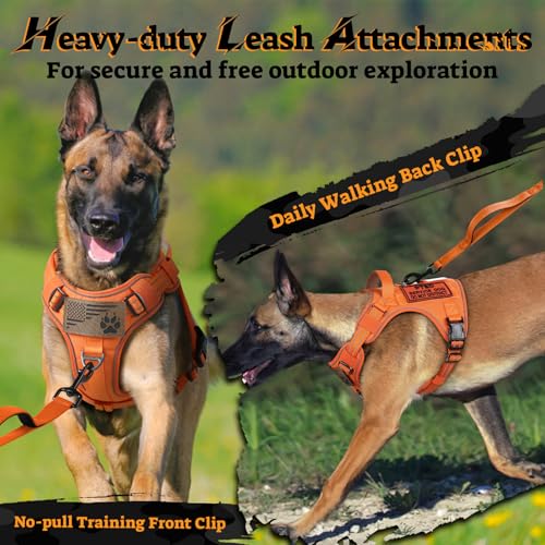 Tactical Dog Harness Medium Sized (M(chest:20.1"-33.9",neck:17.7"-22.3",back:7.5") / Orange)