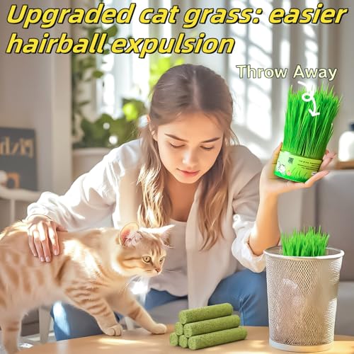 17PK Cat Grass Chew Sticks Freeze (17Pack)