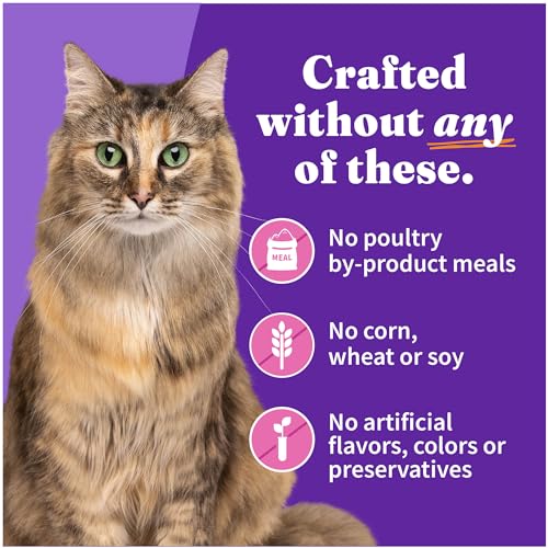 Soft Pate Wet Cat Food
