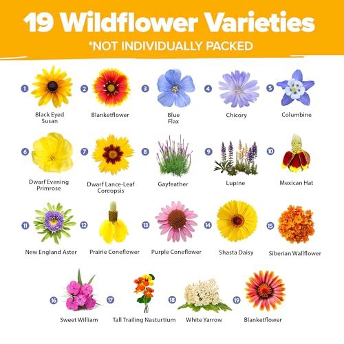19 Wildflower Variety Mix 47