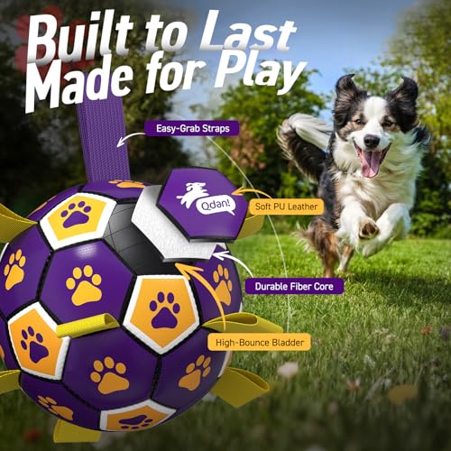 Dog Ropes Toys (Purple Yellow / 8 Inch)