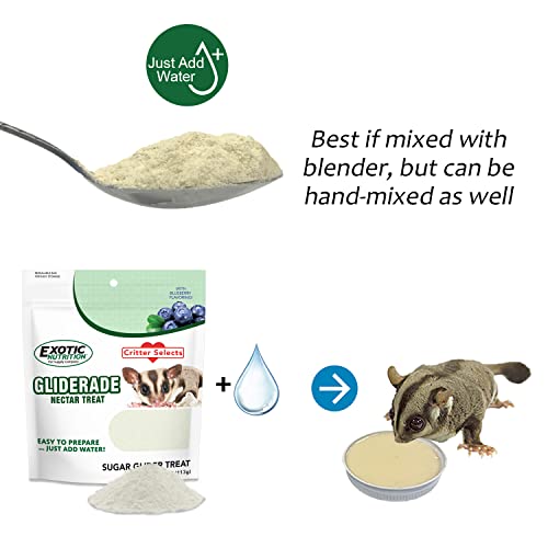 Gliderade Nectar (4 Ounce (Pack of 1))