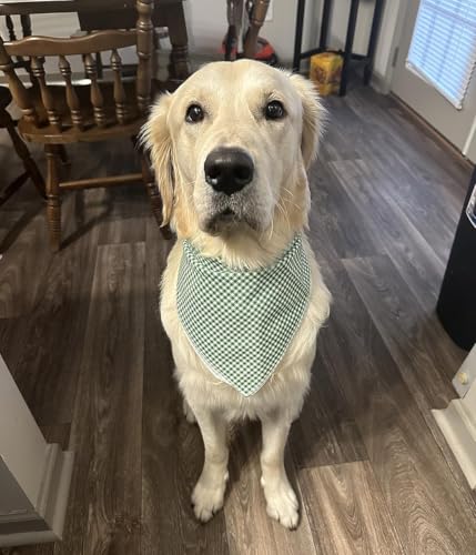 Dog Bandana for Small Medium Large Dogs (Green&White Grid / Small (Pack of 1))