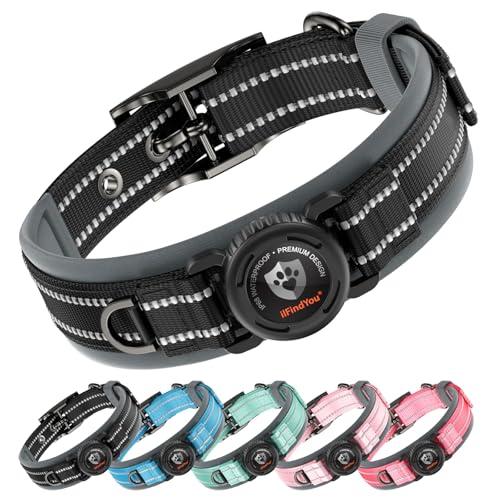 Heavy Duty Dog Collar with AirTag Holder (Black / M (17-19in Neck))