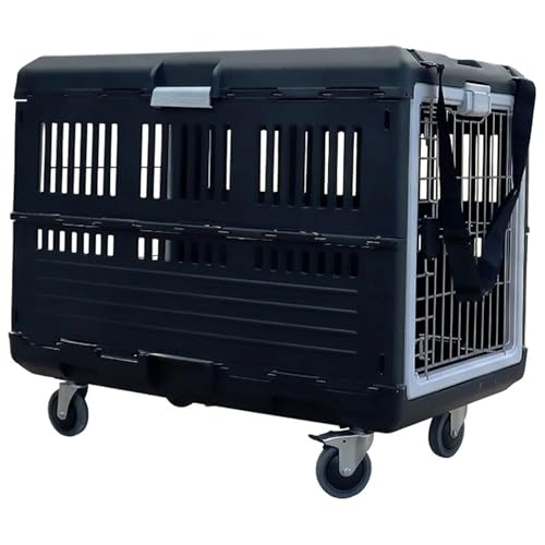 Collapsible Pet Carrier & Travel Kit (Large - Gray / with travel kit)