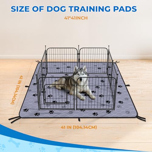 Washable Dog Pee Pads (Gray / 41*41 Inch (Pack of 2))