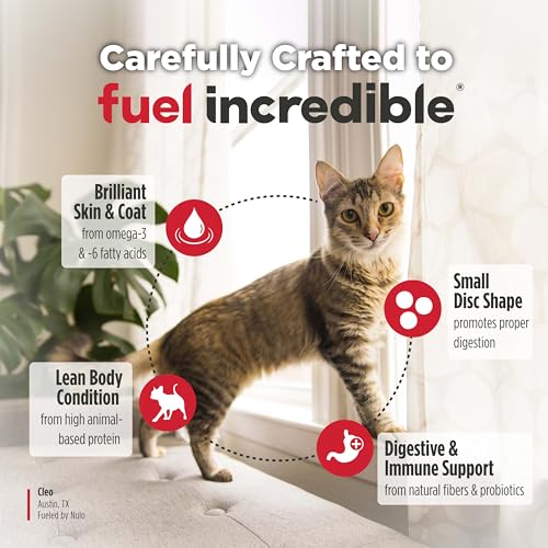 Freestyle Senior Dry Cat Food (14 Pound (Pack of 1))