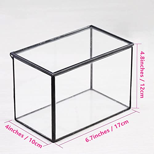 Small Glass Terrarium Planter with Lid (Black / 17x10x12cm)
