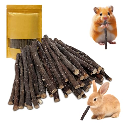 600g Apple Sticks Small Animals Wooden Pet Chew Treats Toys (1.32 Pound (Pack of 1))