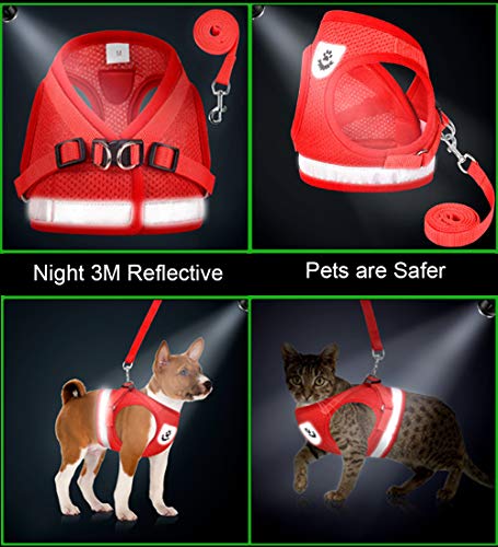 Cat Harness and Leash Set (S (Chest: 9" - 11") / Red)