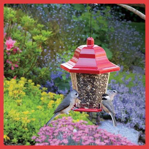 Select Birder's Blend (15 Pound (Pack of 1))