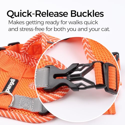 Cat Harness and Leash Set (Orange / Large)
