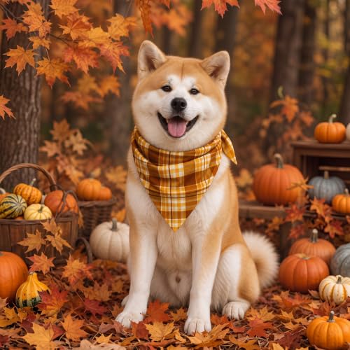 50 Pcs Fall Plaid Dog Bandanas Bulk Autumn Gingham Check Pattern (31.5 x 21.7 x 21.7 Inch / Fall Plaid)
