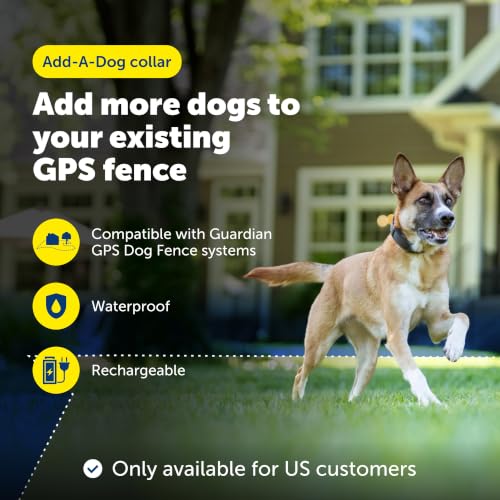 Guardian GPS Add (Black / Add-a-Dog Collar)