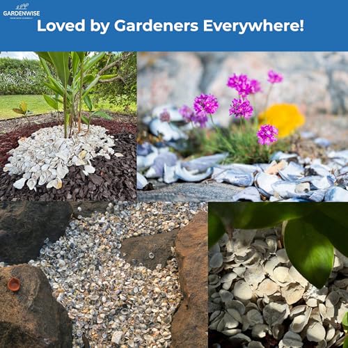 Natural Organic Sea Shell Mulch for Gardens and Landscaping (0.3 CF - 8 L - 9 QTS / Sea Shell Mulch)