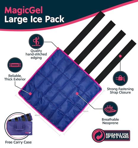 Horse Ice Pack with Carry Case (2 Count (Pack of 2))
