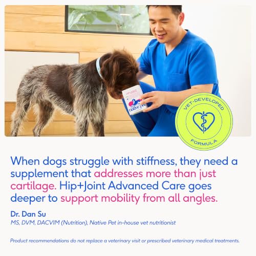 Hip & Joint Advanced Care Dog Joint Supplement Powder for Mobility & Movement Support (30 Count)
