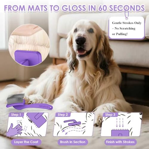 Large Dog 3 in 1 Grooming Kit (Purple)