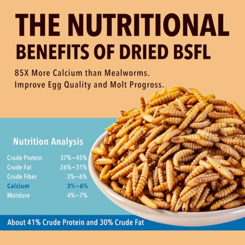 11LB Dried Black Soldier Fly Larvae (11 Pound (Pack of 1))