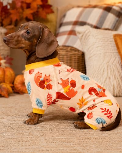 4 Pack Dog Pajamas Fall Pumpkin for Medium Dogs (Large)
