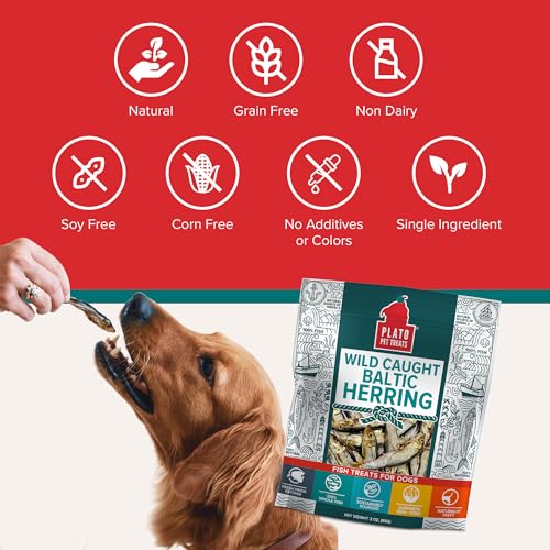 Pet Treats Fish Dog Treats Wild Caught Baltic Herring (8.5 Ounce (Pack of 2))