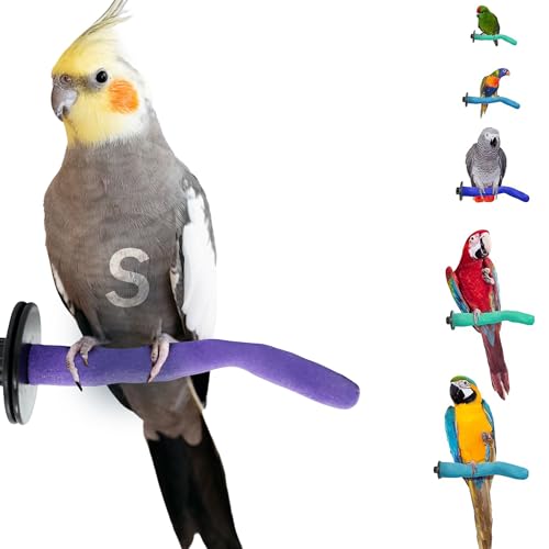 Safety Pumice Bird Perch (Purple / Small 8")